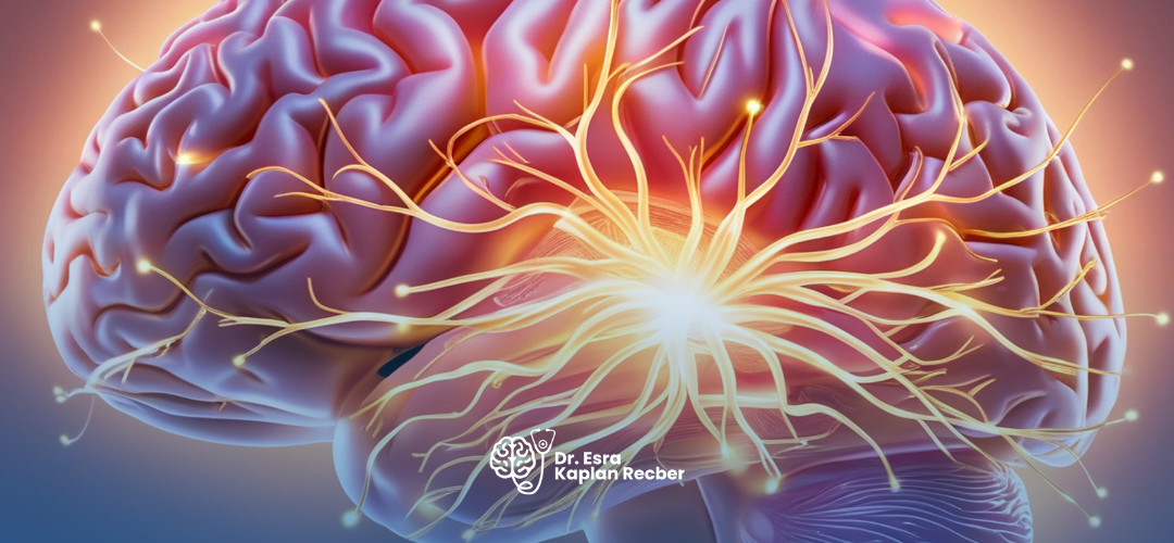 Nöroloji Nedir, Hangi Hastalıkları Kapsar?